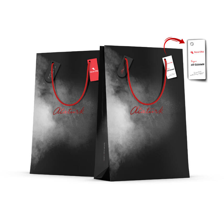 ALA-43 BÜYÜK BOY DİKEY KARTON ÇANTA - 1