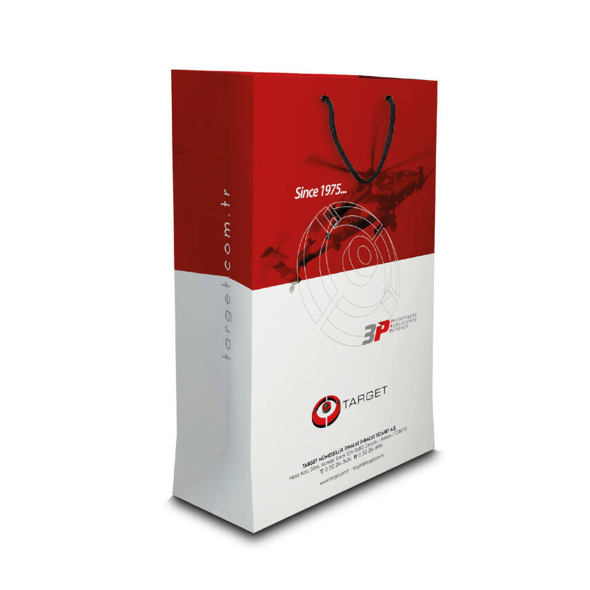 ALA-54 BÜYÜK BOY DİKEY KARTON ÇANTA(36x23x10.5 cm) - 1