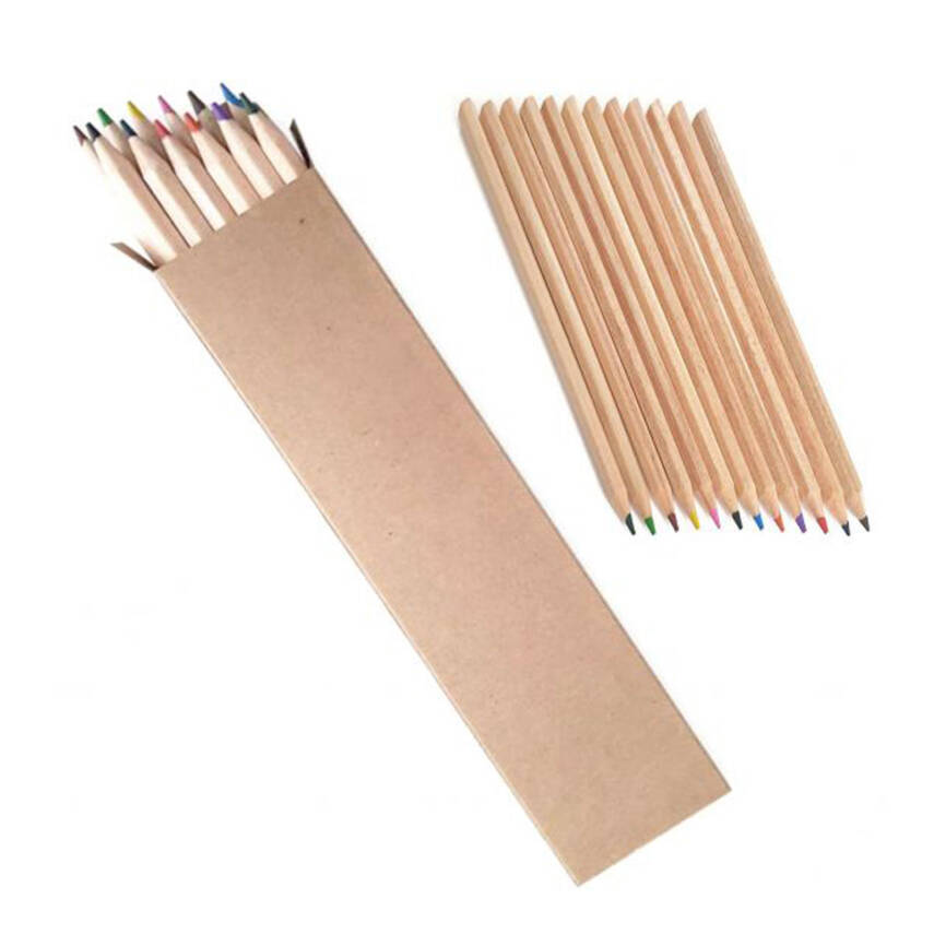 BAŞYAYLA 12Lİ TAM BOY BOYAMA SETİ - 1