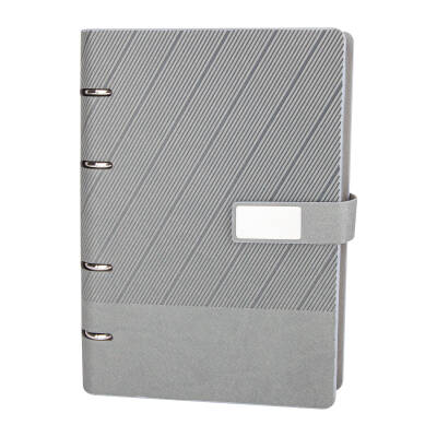 BİRLİK GRİ ORGANİZER AJANDA (17,5x22,5CM)