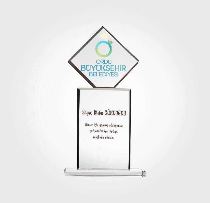 Büyükşehir Belediyesi Özel Plaket - 1