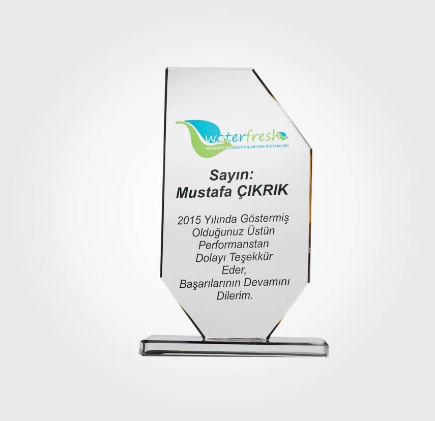 Kristal Başarı Plaketi - 1