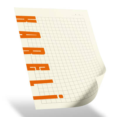 PLEVNE KIRMIZI KARELİ TARİHSİZ SPİRALLİ DEFTER (20x28 CM) - 2